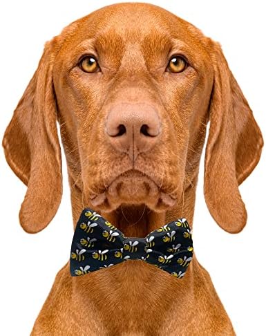 Сладки вратовръзки-пеперуди за кучета Bumble Bees - 2 x 4 Вратовръзки-пеперуди премиум качество за кучета - Необичайна вратовръзка за кучета с еластични ленти - Скъпа вратовръзка за кучета Подходящи за най-греди - Вратовръзка