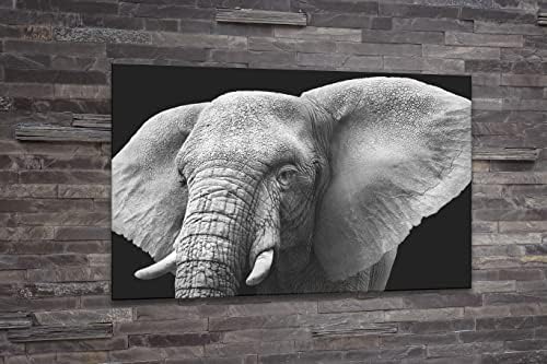 Акрилни модерен стенен арт-слон - Черно-бяло серията Животните в дивата природа - Модерен интериорен дизайн - Акрилни стенен арт - Фигура за печат на снимки - Няколко опции размери (широчина 48 х височина 32)